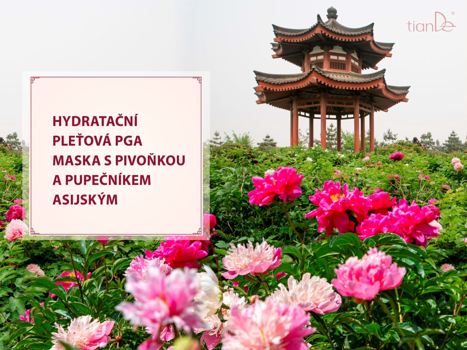 Bylinné nápoje černého čaje